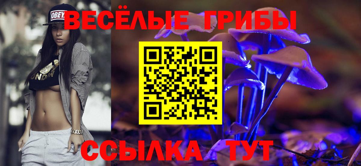 Псилоцибиновые грибы Psilocybe Рассказово
