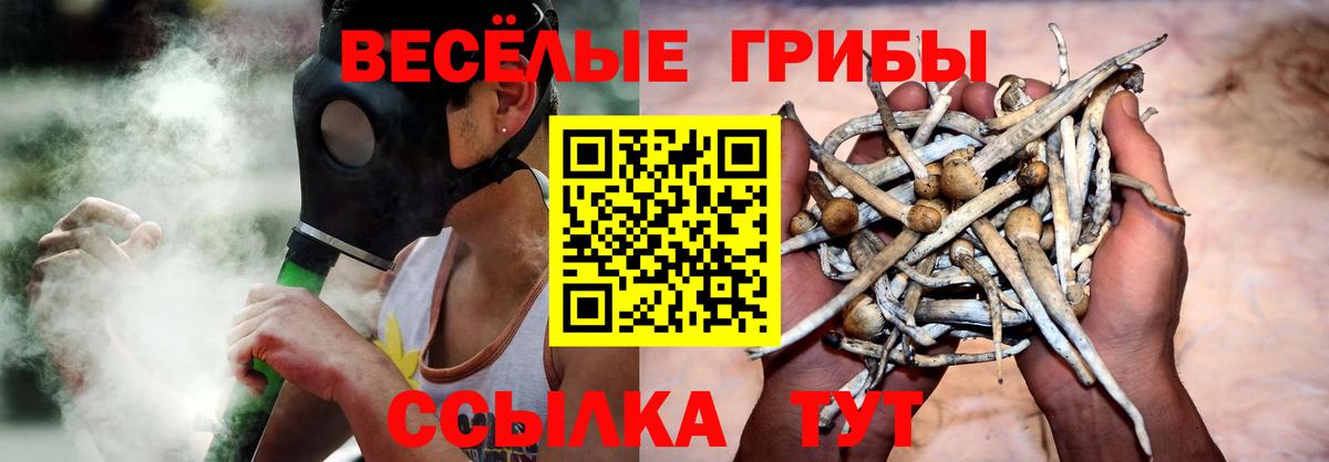 магазин  наркотиков  Вход с VPN  Рассказово  Псилоцибиновые грибы Psilocybe 
